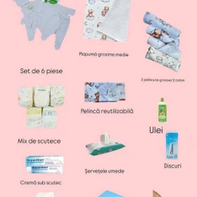 Geanta de maternitate standart